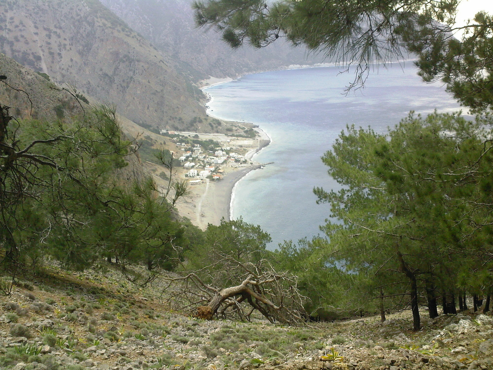 Gigilos Gasthuis Agia Roumeli